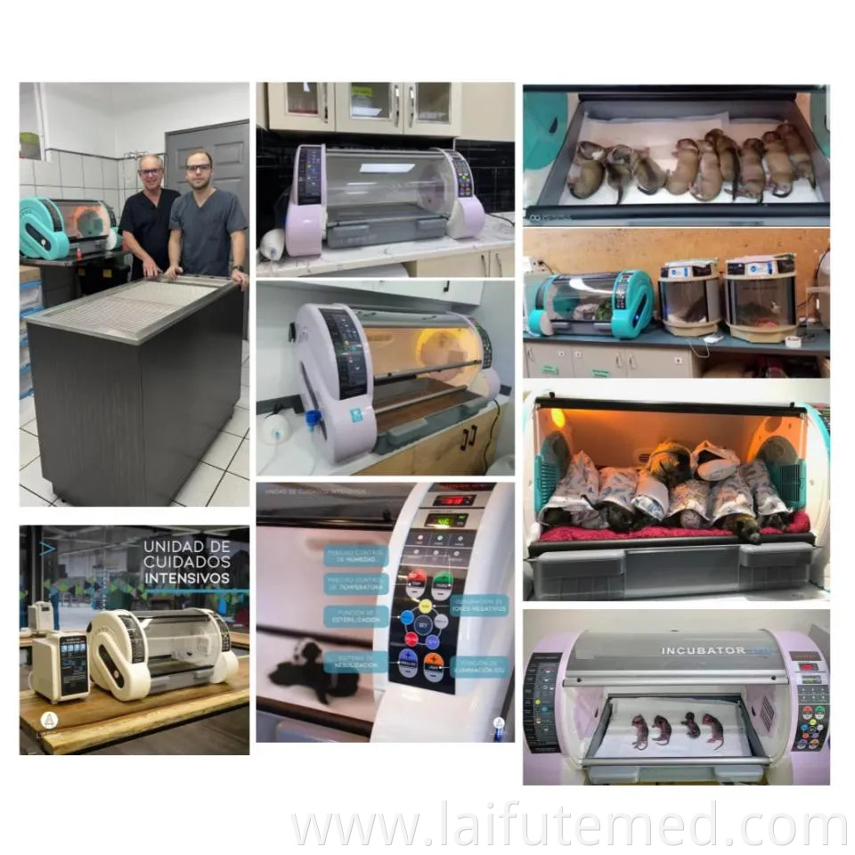 Medical Veterinary Instruments Animals Small Pet Incubators ICU Puppy Incubator for Sale